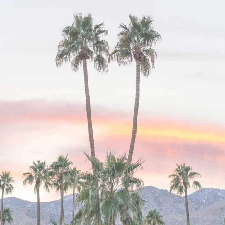 15 Beautiful Bible Verses To Read This Spring