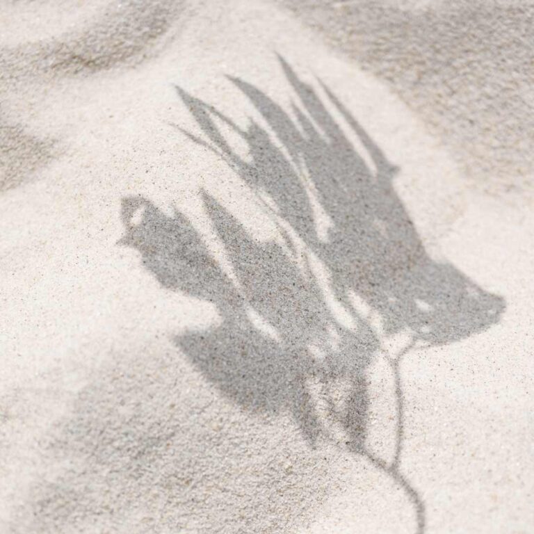 20 Bible Verses About Forgiveness From God