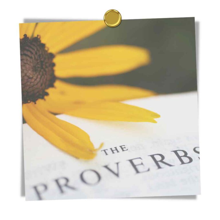 15 Lessons From The Book Of Proverbs
