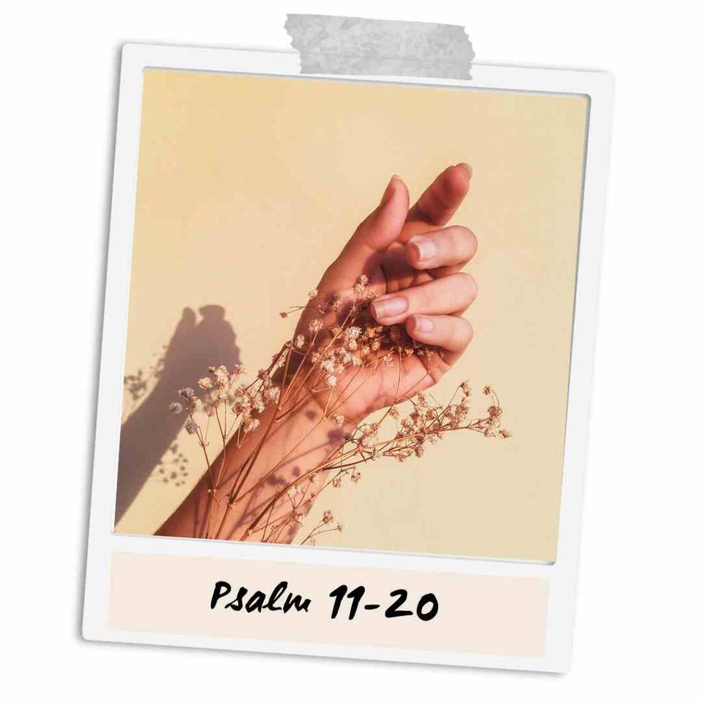 30 Best Bible Verses From Psalm 11-20